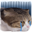 :fg_other_cat_cry:
