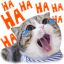 :fg_face_cat_haha: