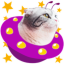 :fg_other_cat_ufo: