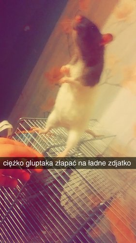 Snapchat-573648046.jpg