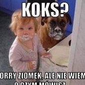 ziomy