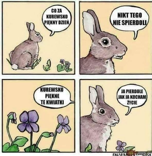 xdxz.jpg