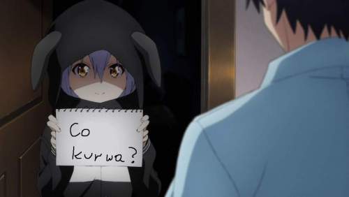 co kurwa.jpg