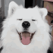 tenor.gif.50116bbe5251569439696407cdd2a182.gif