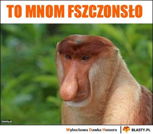 to-mnom-fszczonslo_2020-06-06_15-44-38.thumb.jpg.cb02bb2f31e3a2691136032cbb93d04e.jpg