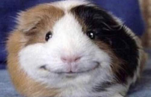 EvjtaLAXYAExvnS.jpg