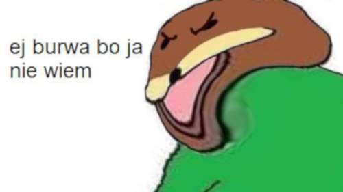neiwiem.jpg
