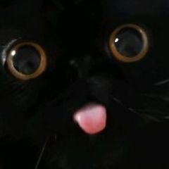 Dominikaa;)