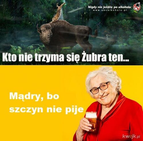 OSOexPk0nAYa2KA2.jpg