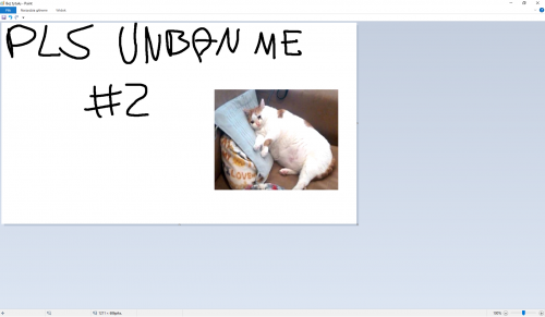 image.thumb.png.275f03eb433ed2e788b3f78b75453996.png