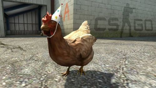 chicken-csgo.jpg