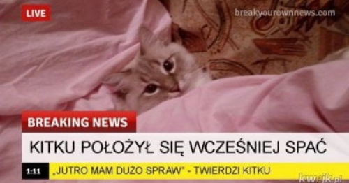 obraz.thumb.png.ee89371403f7d7e53ce7383061d3a96e.png