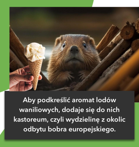 image.thumb.png.db96ffc83d7a8aa07c99fbdaa2581ca8.png