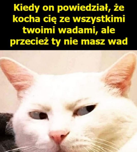 image.thumb.png.f78b0a0d980bda909db5b750b148eff8.png