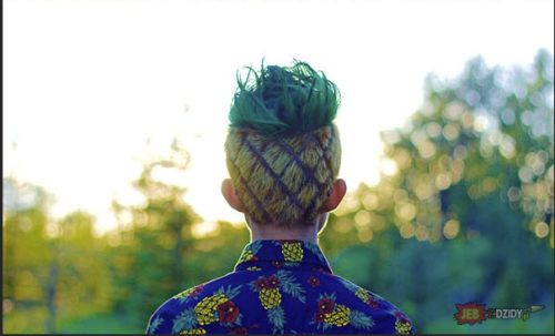 image.thumb.png.aeba7907cccd4c722ba4dc913e560a36.png