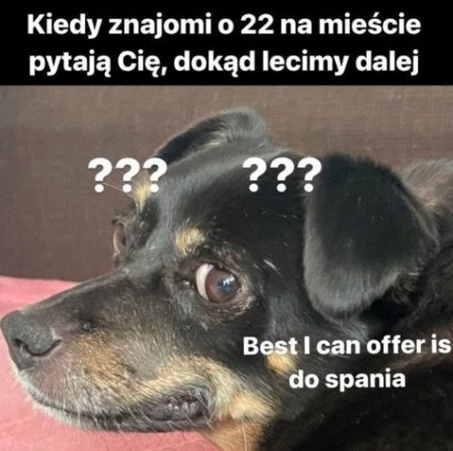 image.thumb.png.acaf3df877640901293a794a06c1b46e.png
