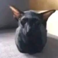 czilu