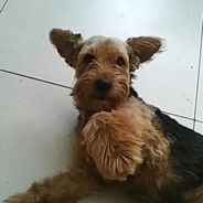 Abacabac