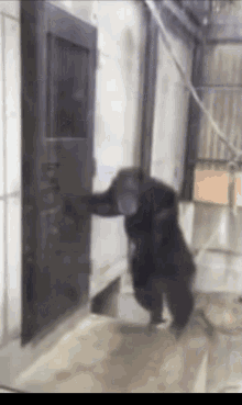 let-me-in-annoyed.gif.f72c28131d6de2e5a6ecdfe009610c1a.gif