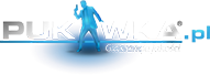 Hosting serwerów gier