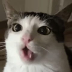 homczykk