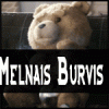 MelnaisBurvis