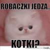 Smutny Robaczek :(