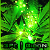 3Pe GiboN