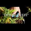 DobreGeesy